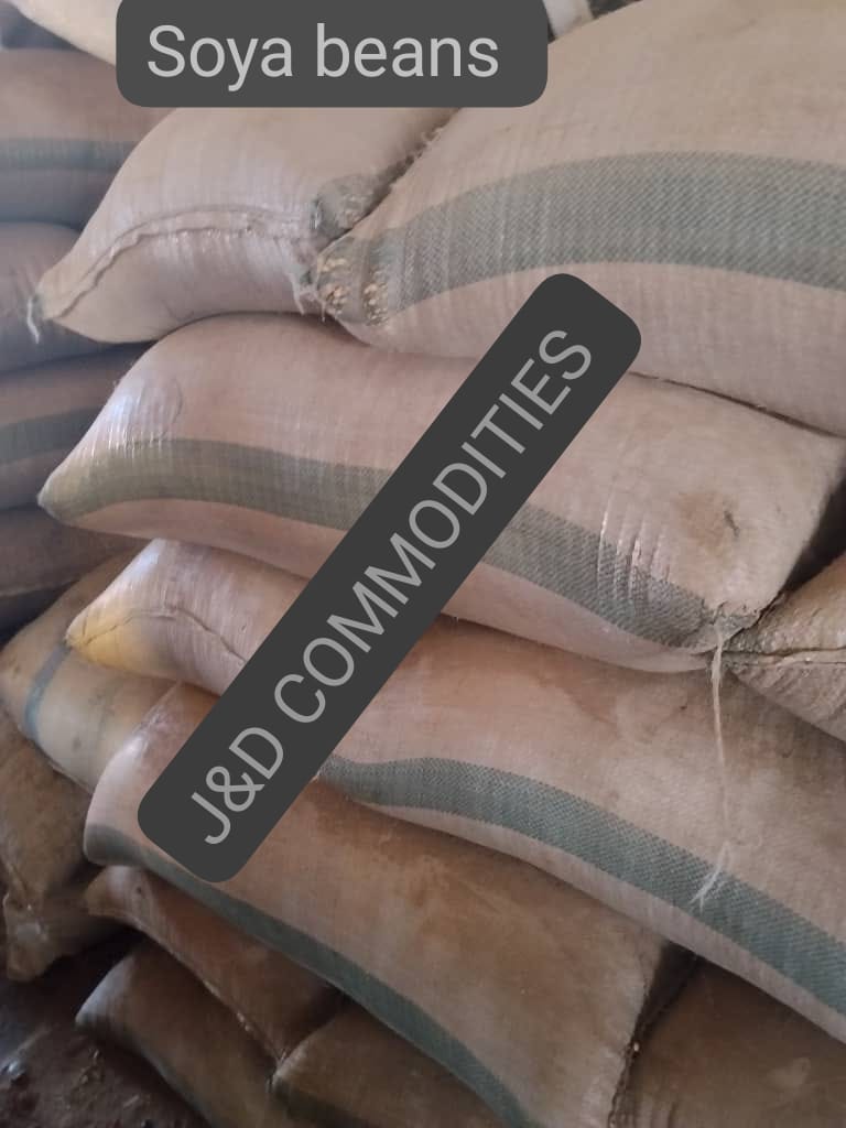 Soya Beans Processing