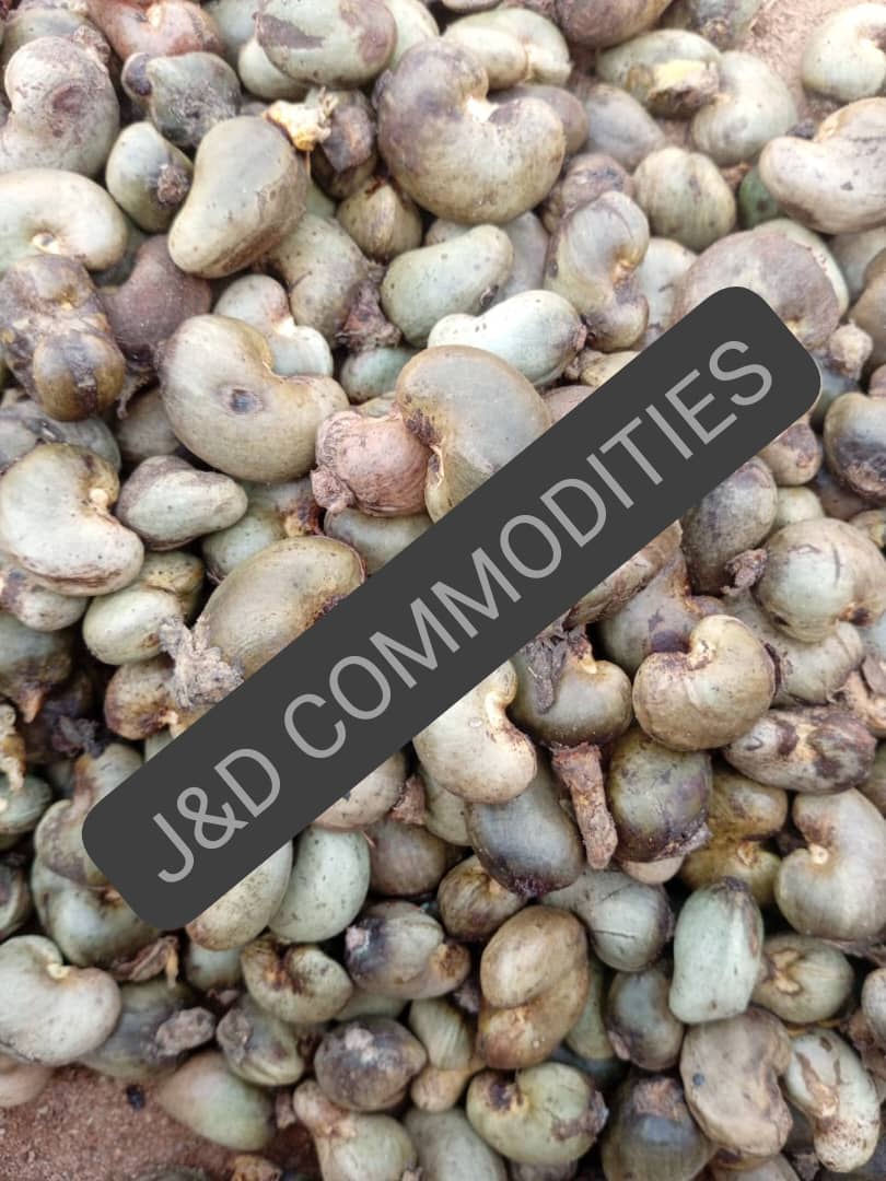Premium Ogbomosho Cashew Nuts