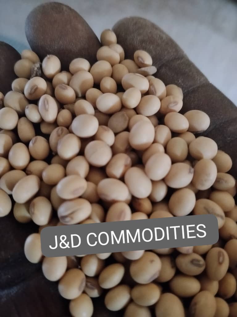 High-Quality Soya Beans